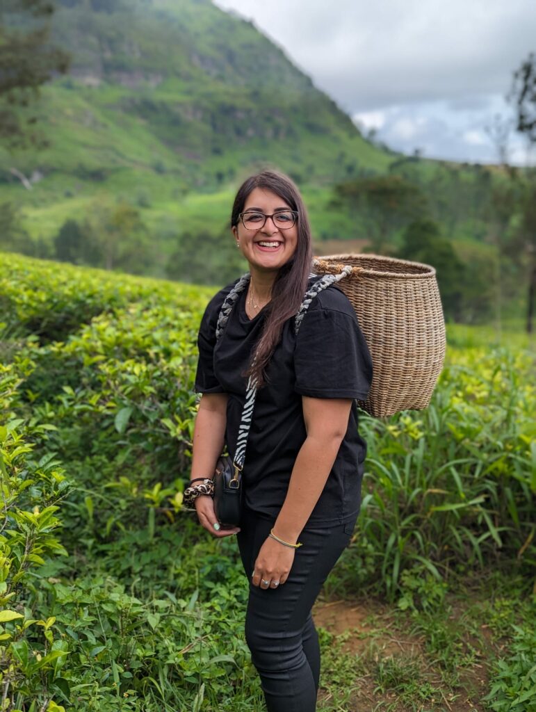 Lush green Ceylon tea plantations in Nuwara Eliya